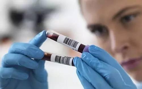 开云电竞app下载安装